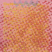 Ursus - Bild 013: Aus-e-i-n-ander