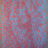 Ursus - Bild 015: Die Wände Waren Einladend