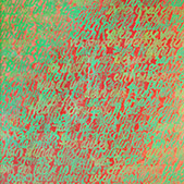 Ursus - Bild 016: Eine Arabische Null