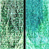 Bild 028 - Ting-Ch'Ing