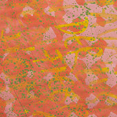 Ursus - Bild 014: Feuer Und Samt, Detail