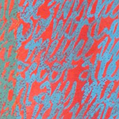 Ursus - Bild 015: Die Wände, Detail