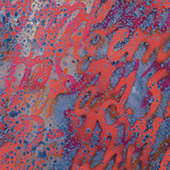 Bild 021 - In This Sweet Bud, Detail