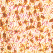 Bild 029 - How The Honey Flowed, Detail