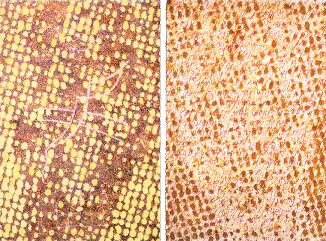 Ursus - Bild 029: How The Honey Flowed