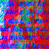 Bild 030: The Paler Inner Layer, Detail
