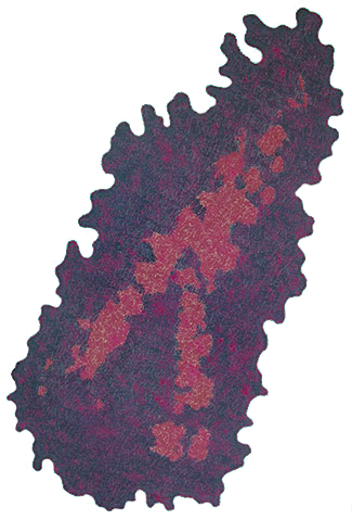 Ursus - Bild 032: El Mortafa