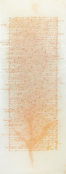 Ursus - Bild 051: Poil Vert