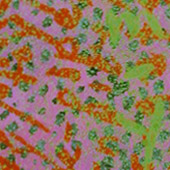 Bild 053 - Yum-Yum, Detail