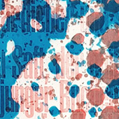 Ursus Bild 034 - Detailansicht