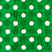 Ursus - Bild 064: Aus Zarten Adern, Detail