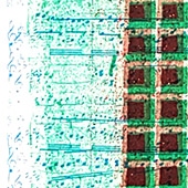 Ursus - Bild 080: Meine Muse, Detail Variante B