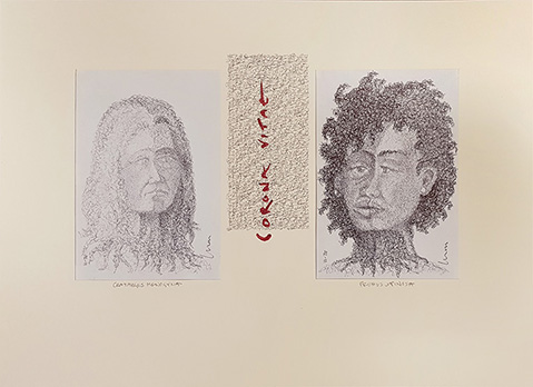 Ursus - Bild 253: Corona Vitae / Crataegus Monogyna - Prunus Spinosa