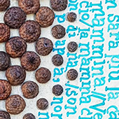 Ursus - Objekt 286/Detail