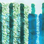 Ursus - Bild 128: Lieschens Lautenlied, Detail