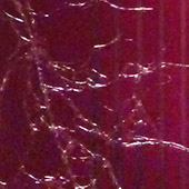 Ursus - Bild 212: Cintayami, Detail