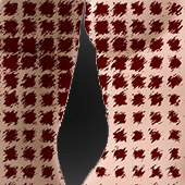 Ursus - Projekt 215: Myanmar, Detail