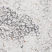 Ursus - Bild 262: Vazhkyi Tiahar, Detail