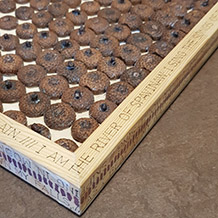 Ursus - Objekt 281: Detail Rahmen