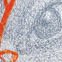 Ursus - Bild 287: Detail