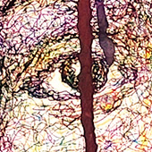 Ursus - Bild 300: This Thobe So White; Detail